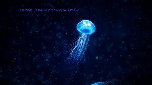 MATRANG - Медуза (My Music New Video)