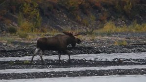 Момский поход 2021