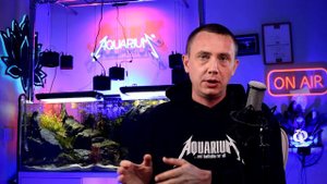 Железо в аквариуме