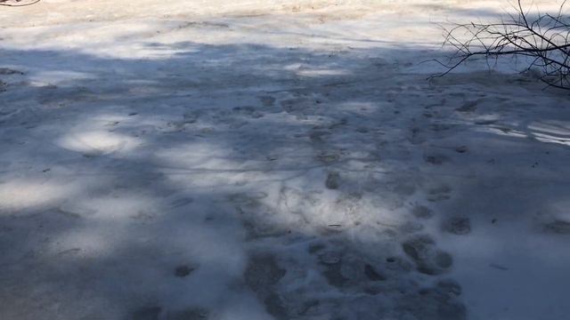 ПАНОРАМЫ смотреть онлайн