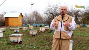 Вывод маток обучение 2019год