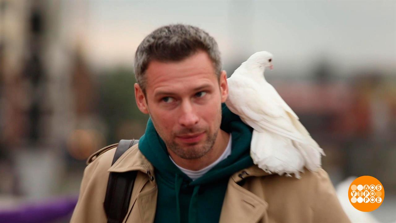 Первый канал зовет в дорогу | Доброе утро | Суббота | Фрагмент выпуска ...