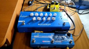Sobakin Bluesman