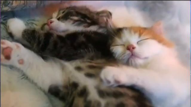 2021.08.26. Литературная гостиная - Александр Блок смотреть онлайн