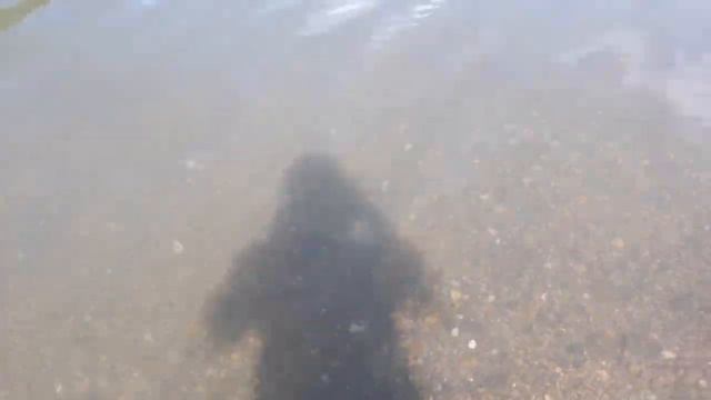 Река Зиган. Отдыхаем на природе. Башкортостан .
