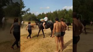 купание лошадей