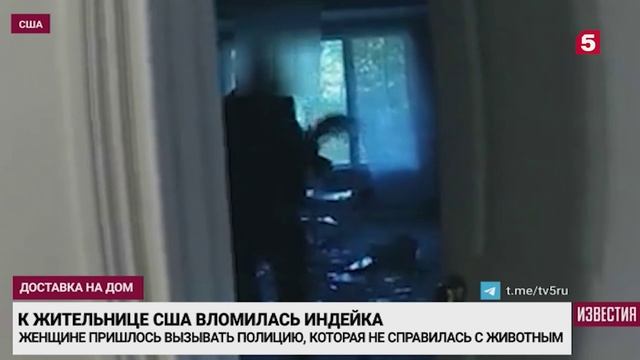 Агрессивная индейка разгромила полдома американке.