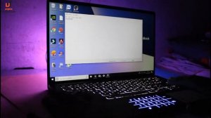 Asus Zenbook 14 full review