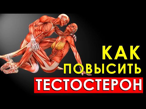 Как Повысить Уровень Тестостерона в Организме