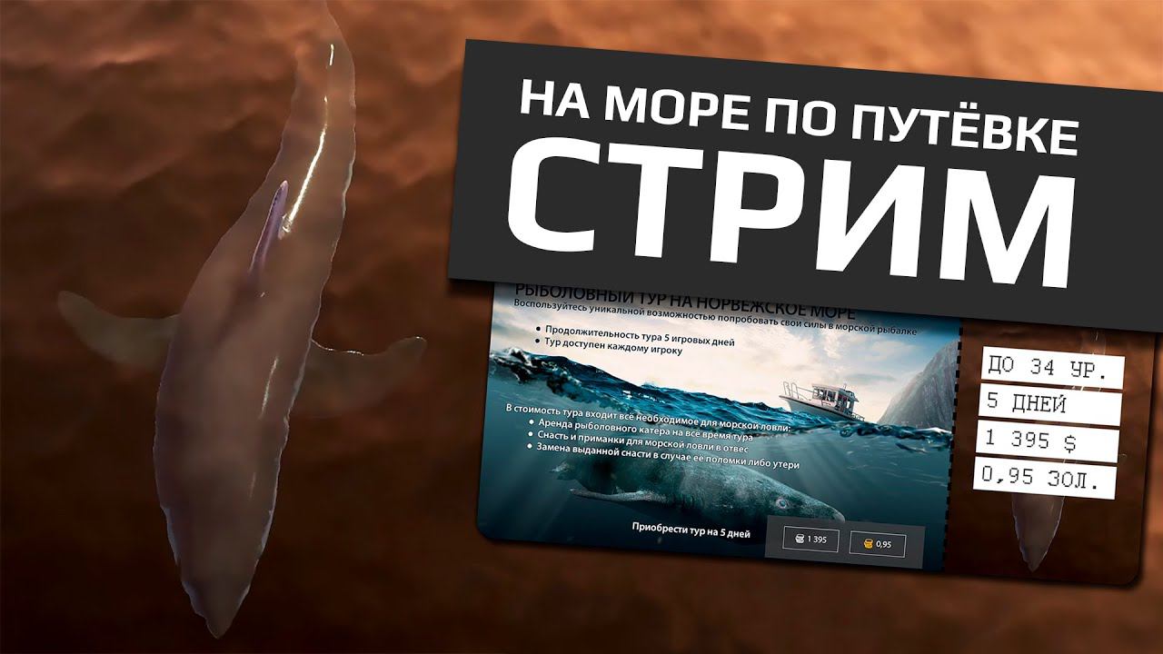 РУССКАЯ РЫБАЛКА 4 - Норвежское море, едем ловить по путёвке смотреть онлайн