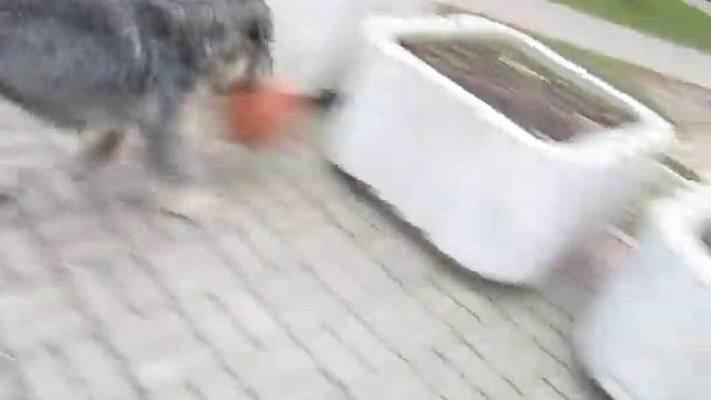 Баскетбол разминка смотреть онлайн