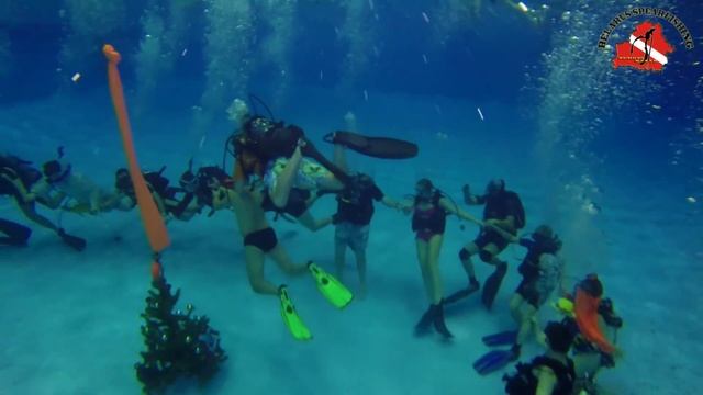 Подводный НОВЫЙ ГОД 2015 с КАПИТАНОМ МОРГАНОМ и ДАЙВ ЦЕНТР SUBLIFE. New Year underwater! смотреть онлайн