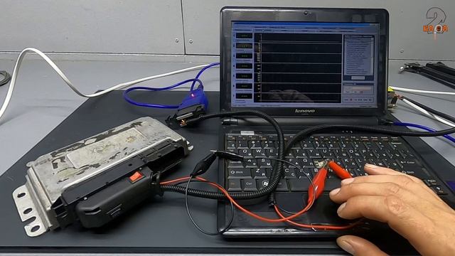 Кабель для прошивки (программирования) ЭБУ 81 пин Январь 7.2, Микас 11 ...