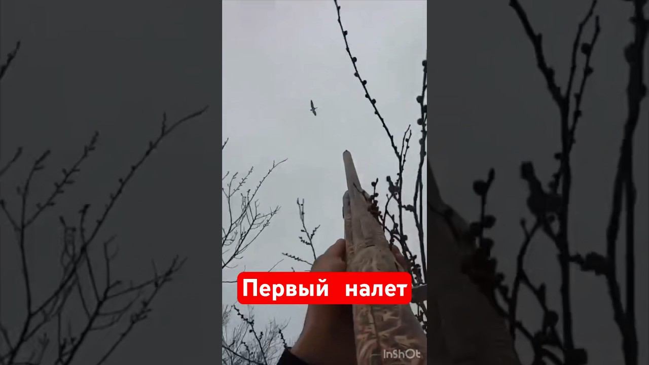 Охота на гуся #охота #охотанагуся #весенняяохота  #охотанауток #охотавидео #shorts #шортс