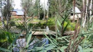 Делаем мостик на даче без опоры в пруду. Парящий пирс - трамплин. И водные растения.