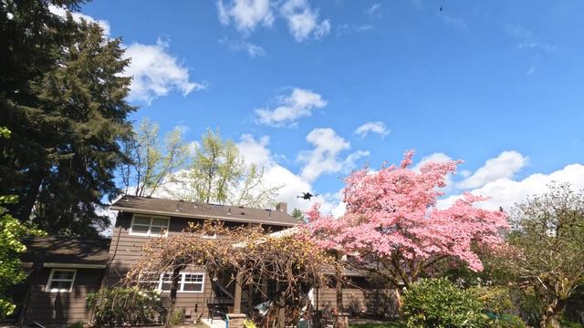 DJI MINI 3 is AWESOME but START HERE + DJI FPV Drone Giveaway! 💎 смотреть онлайн