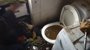 Маэстро Рыба и анальная вода