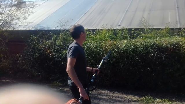 Мастер-класс "Топиарная обрезка деревьев" смотреть онлайн