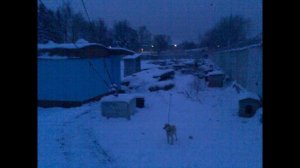 Работа В Газовой Котельной