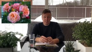 РОЗЫ. ТОЛЬКО ЭКСКЛЮЗИВНЫЕ СОРТА. ГДЕ Я ПОКУПАЮ РЕДКИЕ РОЗЫ. НОВИНКИ и ТРЕНДЫ предстоящего сезона!!!