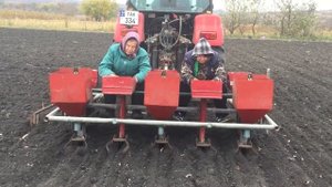 сеялка для чеснока