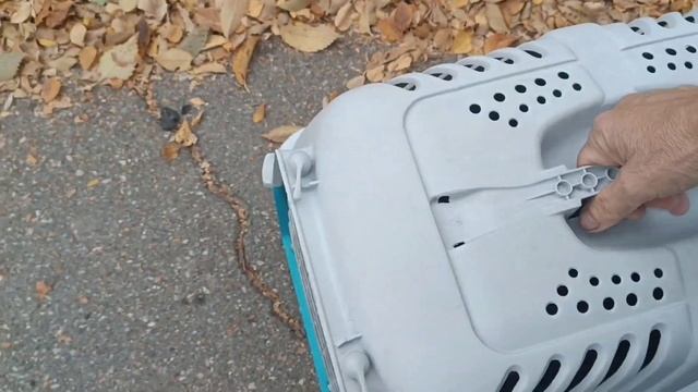 Сделали Тимоши анализ крови./ Все очень плохо./??⬛????? смотреть онлайн