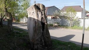 Чистота на улице Миротворцева в Саратове