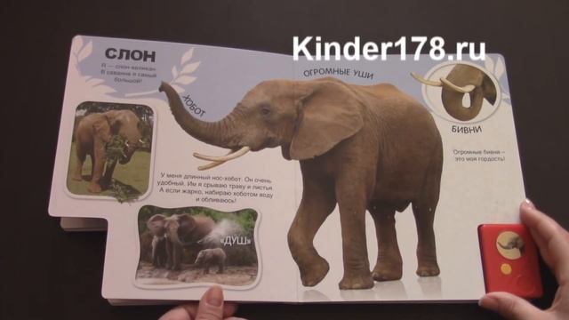 Говорящая энциклопедия для малышей "Про слона-великана и не только" Азбукварик. Видео-обзор смотреть онлайн