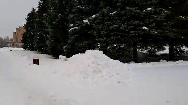 Отрадный сегодня. 3 февраля 2020 год смотреть онлайн