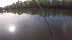 Комплект Shimano World Shaula 1785RS-2 и Shimano Antares DC MD  в действии.