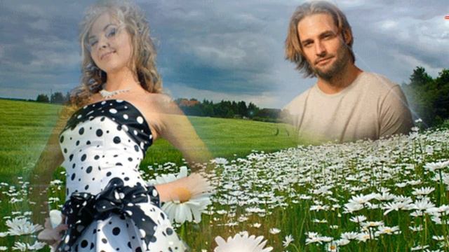 Полевые цветы. смотреть онлайн