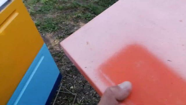 Акация белая. На пасеке смотреть онлайн