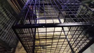 разборная усиленная клетки для собаки из сетки.