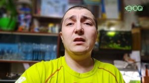 Отвечаю на часто задаваемые вопросы про Артема, Ферму Л- СОМОВ ....