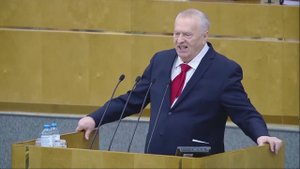 Вы о бродячих собаках заботитесь больше, чем о людях!