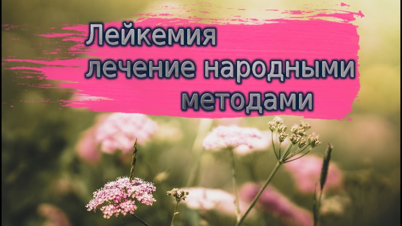 Лейкемия  лечение народными методами