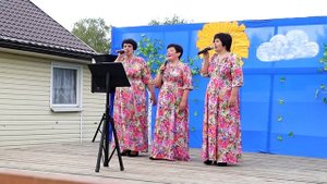 Без вины виноватая