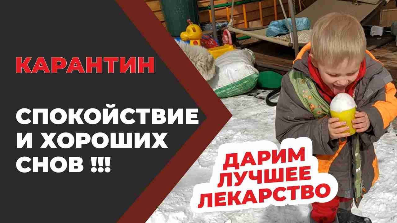 Антидепрессанты и снотворное в подарок. Снег, вегетарий, будни деревенского приключения.