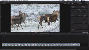 Эффект PAN AND ZOOM в Final Cut Pro. How to PAN & ZOOM EFFECT in Final Cut Pro