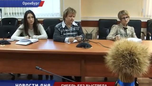 О МАССОВОМ ПАДЕЖЕ ПТИЦЫ смотреть онлайн