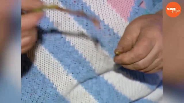 Садовые истории от Надежды Черненко смотреть онлайн