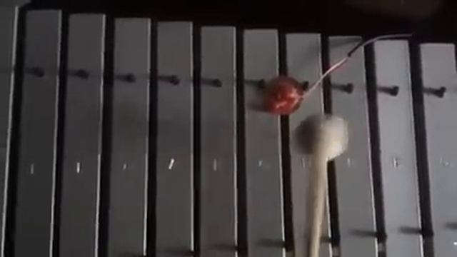 Contacted xylophone смотреть онлайн