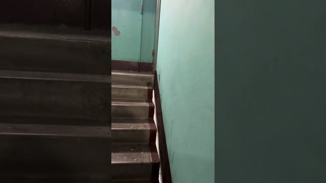 Авито подтвердить доступ к объекту Глушко 31-39, казань смотреть онлайн