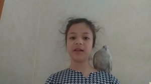 Голуби помогают детям учить стихи / Pigeons help children learn poetry