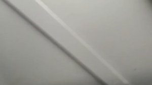 Посадка роз в теплице (розы в теплице)