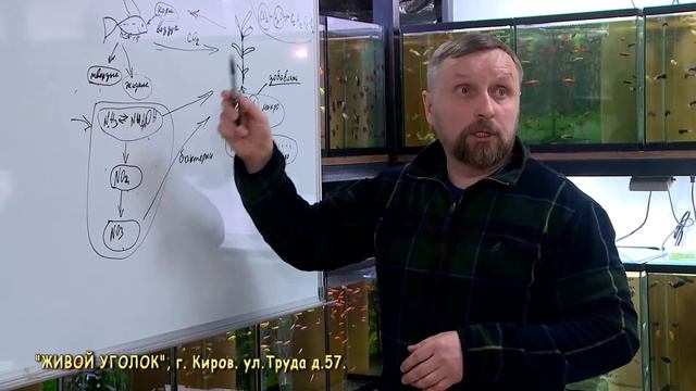 Семинар Экосистема аквариума