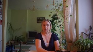 Замороженный фикус. Как спасти фикус? Спасаем замерзший фикус!