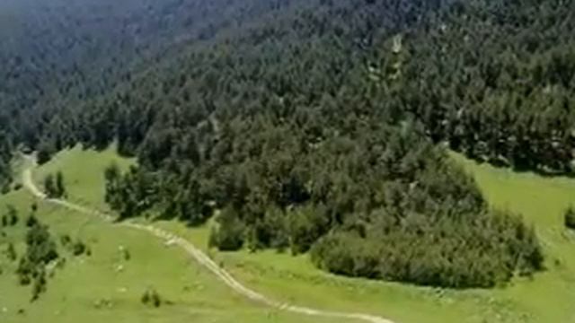 Годобери
