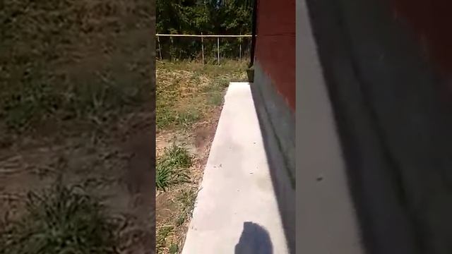 С чего начать план ландшафта участка
