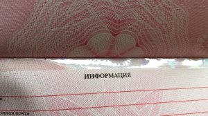 Паспорт РФ. Теория и практика замены